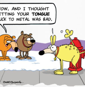 Humor zum Sonntag: Wow. And I thought getting your tongue stock to metal was bad.